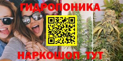ECSTASY Будённовск