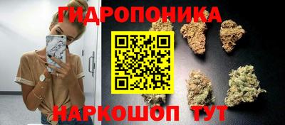 ECSTASY Будённовск