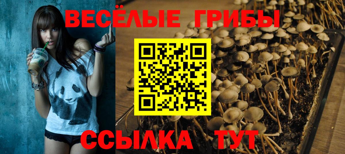 Псилоцибиновые грибы ЛСД  Псилоцибиновые грибы GOLDEN TEACHER  Вход с VPN  Карабулак 
